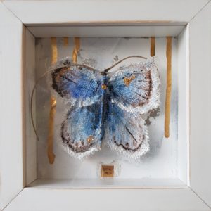 Butterfly 3D